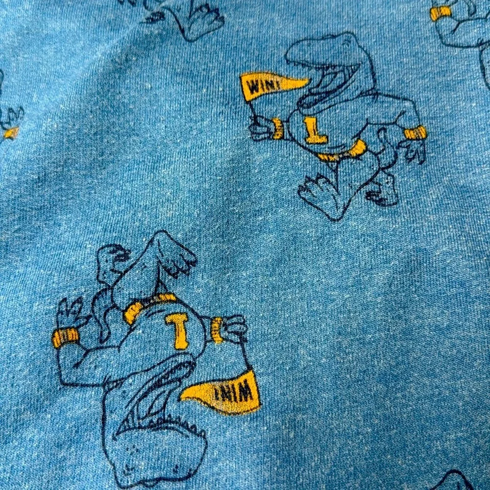Blue Dinosaur Print Sweatshirt and Pants Set